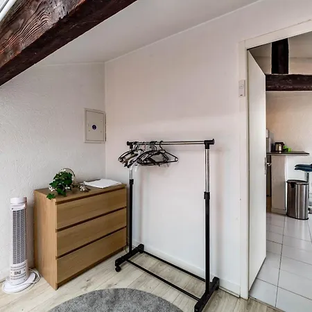 Allinlyon | Duplex Sous Les Toits Appartamento