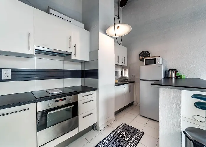 All In Lyon | Duplex Sous Les Toits Fourviere * Lyon