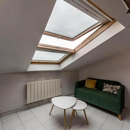 Apartment Allinlyon | Duplex Sous Les Toits